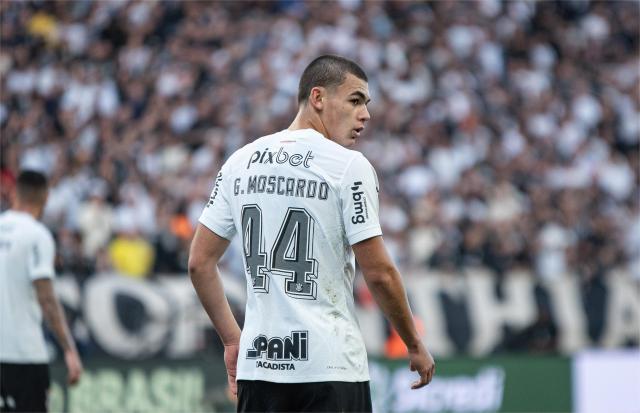 1703942388270042640.jpg 莫斯卡多.jpg